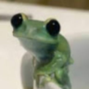 Meet your Posher, Ella